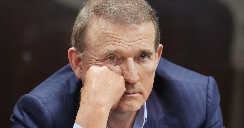 Державі було повернено 9,5 гектарів лісу, які були пов'язані з Медведчуком та екс-міністром, що втік, Клименком, повідомила прокуратура.