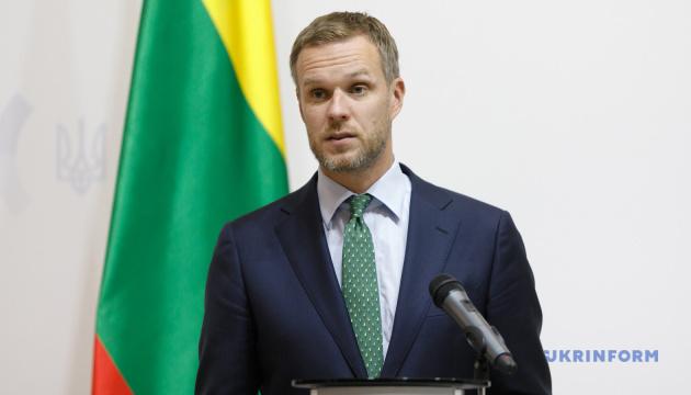 Колишній міністр закордонних справ Литви висловив бажання, щоб його державі були надані гарантії безпеки з боку України.