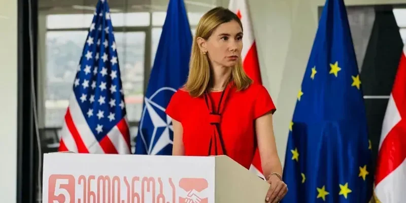 Одна з провідних фігур грузинської опозиції повідомила про те, що її чоловіка викрали з наміром залякати її.
