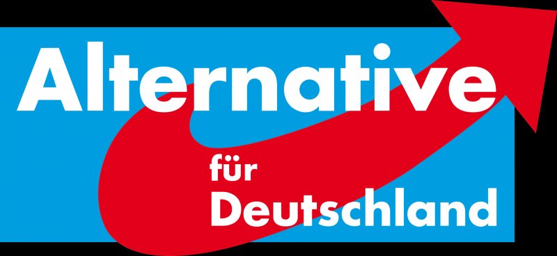 Медіа повідомляють, що депутата від AfD, який брав участь у бойових діях на стороні України, можуть виключити з лав партії.