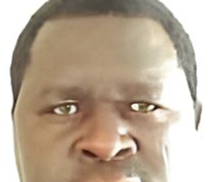 Адольф Гітлер знову висуває свою кандидатуру на місцевих виборах у Намібії.