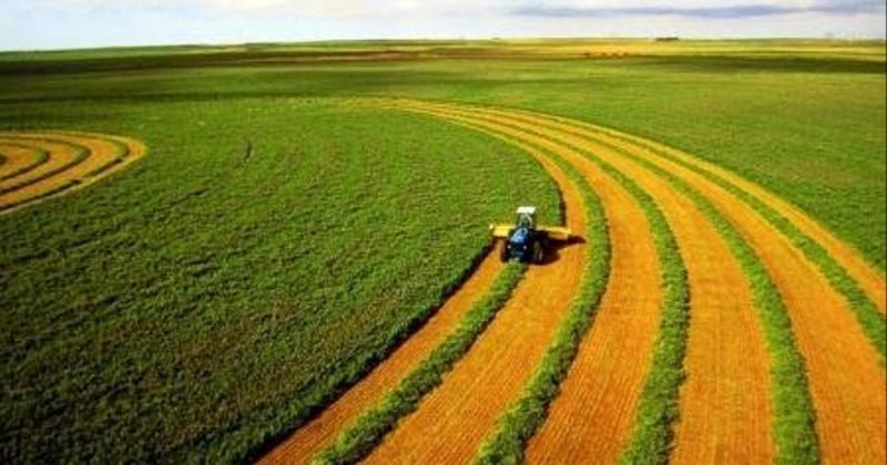 За інформацією, можливо, що причини банкрутства державного молочного виробника в Житомирській області пов'язані з оточенням колишнього депутата Олега Дмитренка з Чернігівщини.